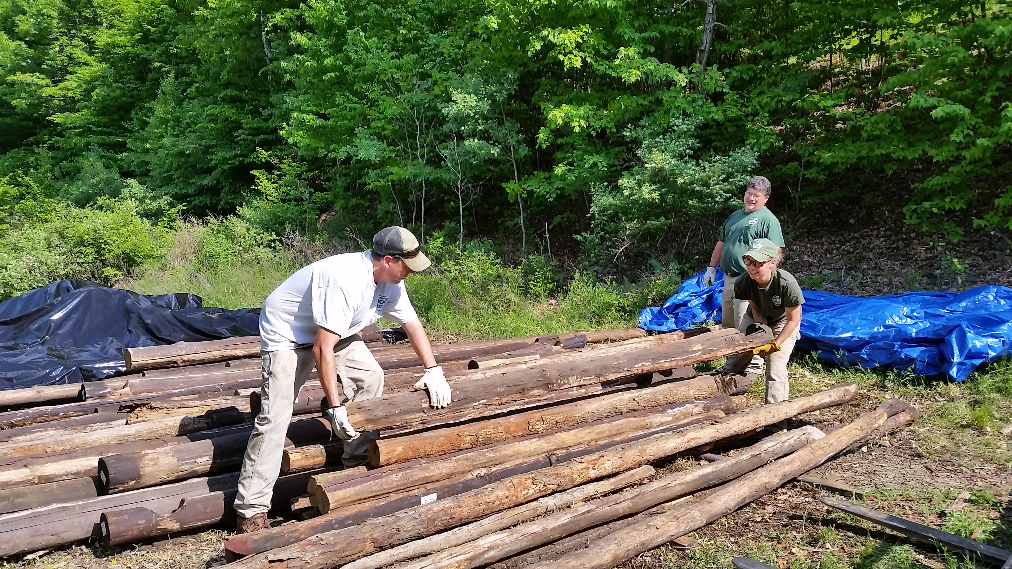 Pennsylvania Lumber Museum