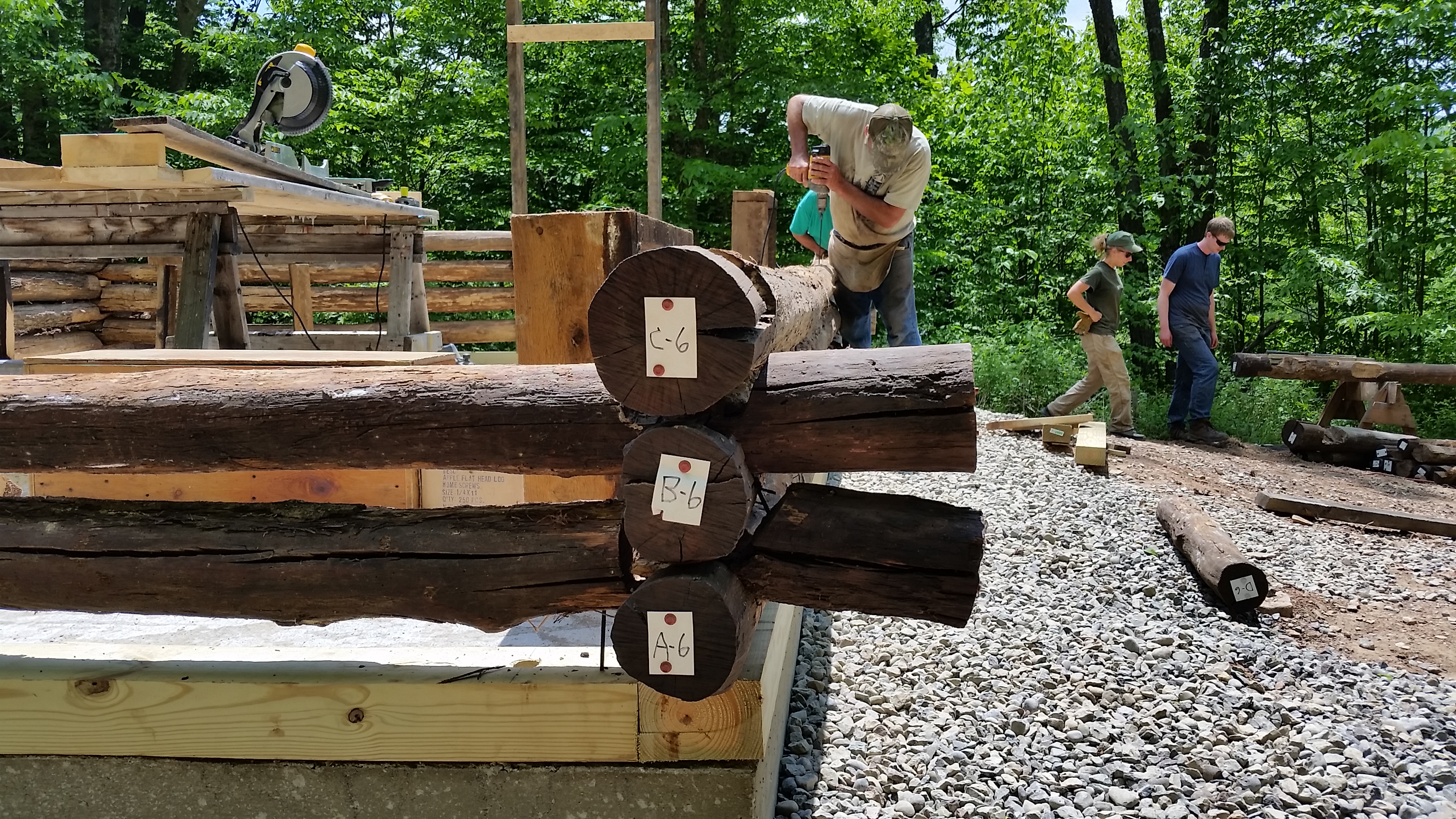 Pennsylvania Lumber Museum