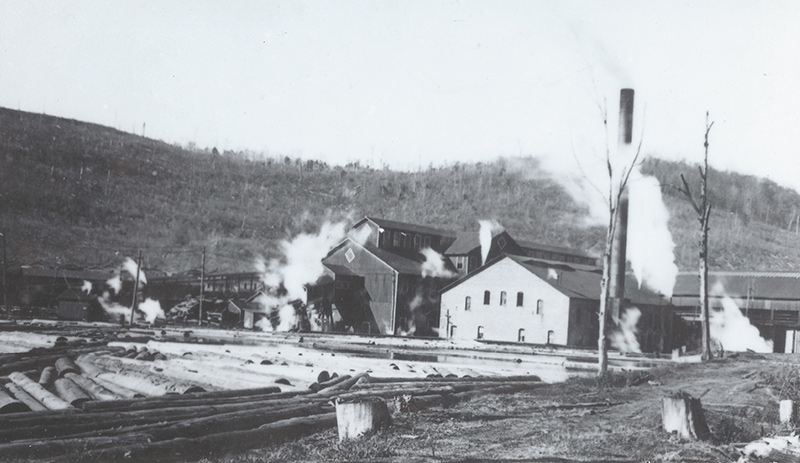 Unidentified Working Mill With Pond And Hillside In Background