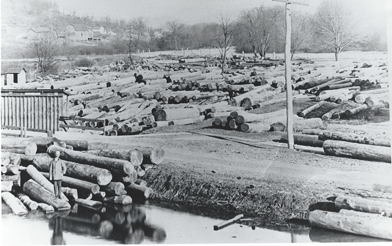 Unidentified Lumber Yard