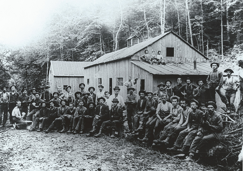 Unidentified Logging Camp and Workers