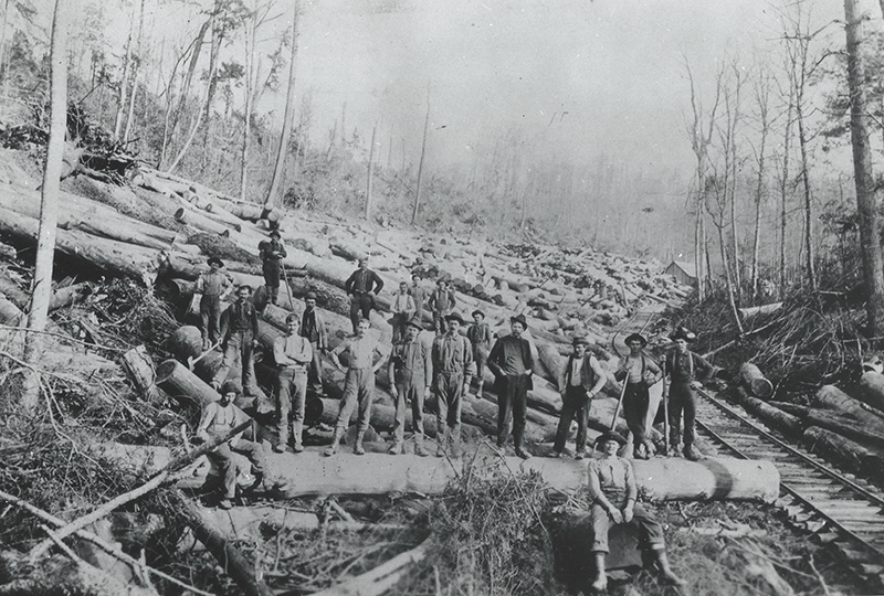 Unidentified Group of Workers on Logged Hillside