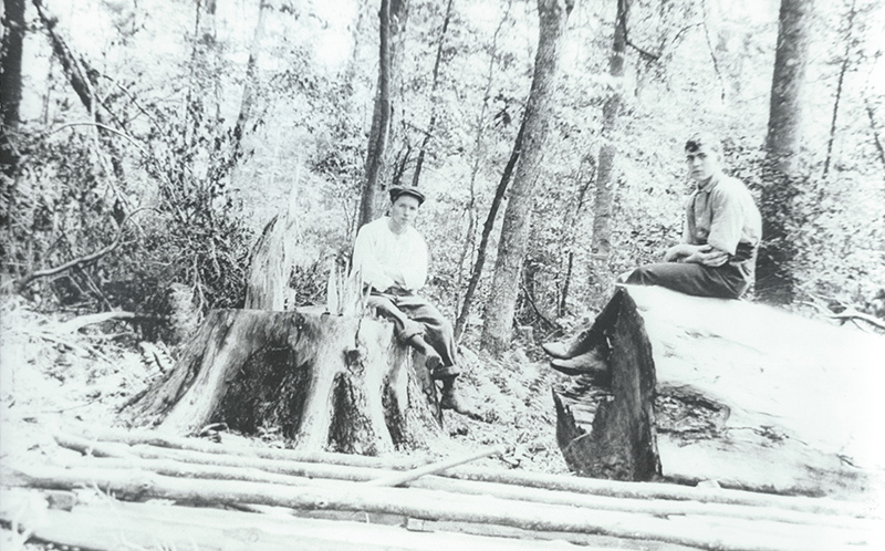 Two Boys on Hemlock Tree Near Potato Creek, Circa 1915