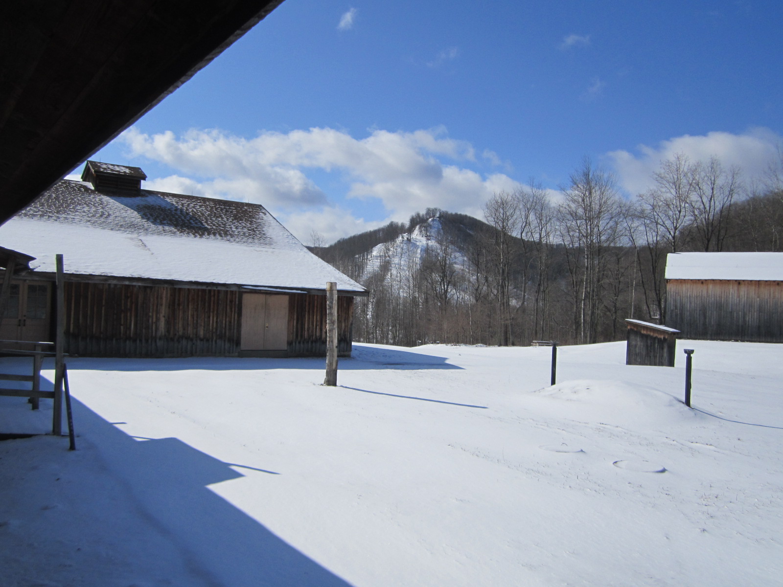 grounds1