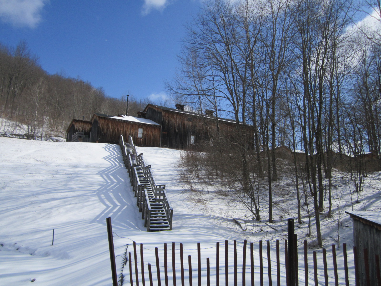grounds19