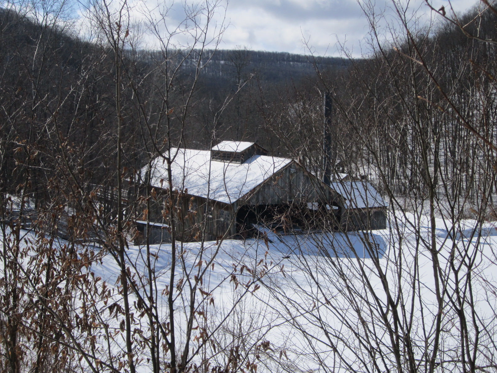 grounds5