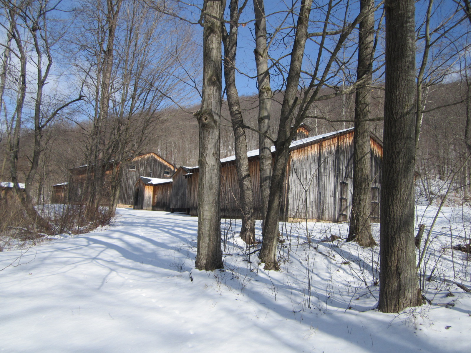 grounds9