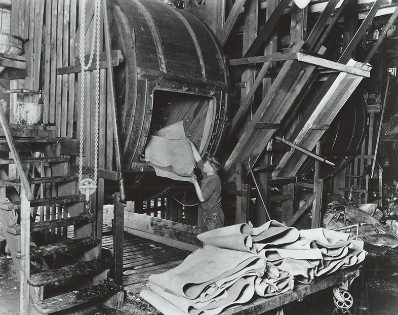tannery10