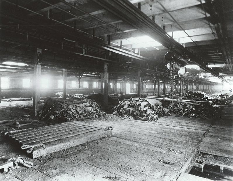 tannery11