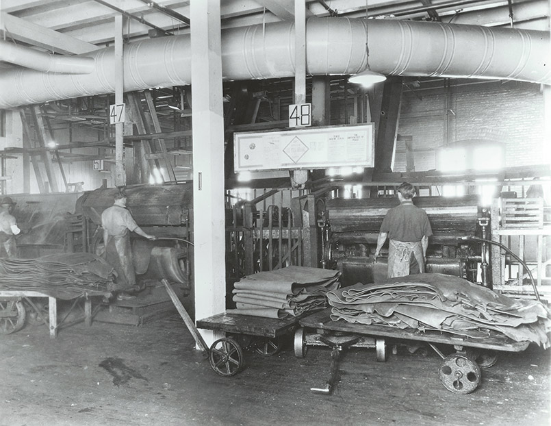 tannery13