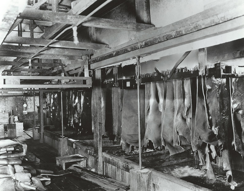 tannery3