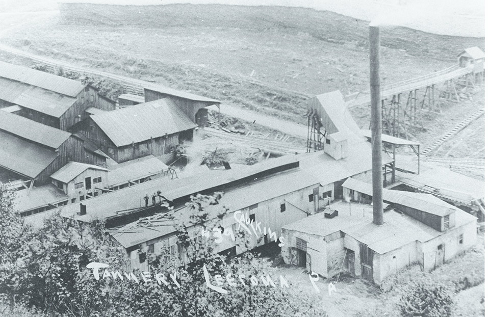 tannery5