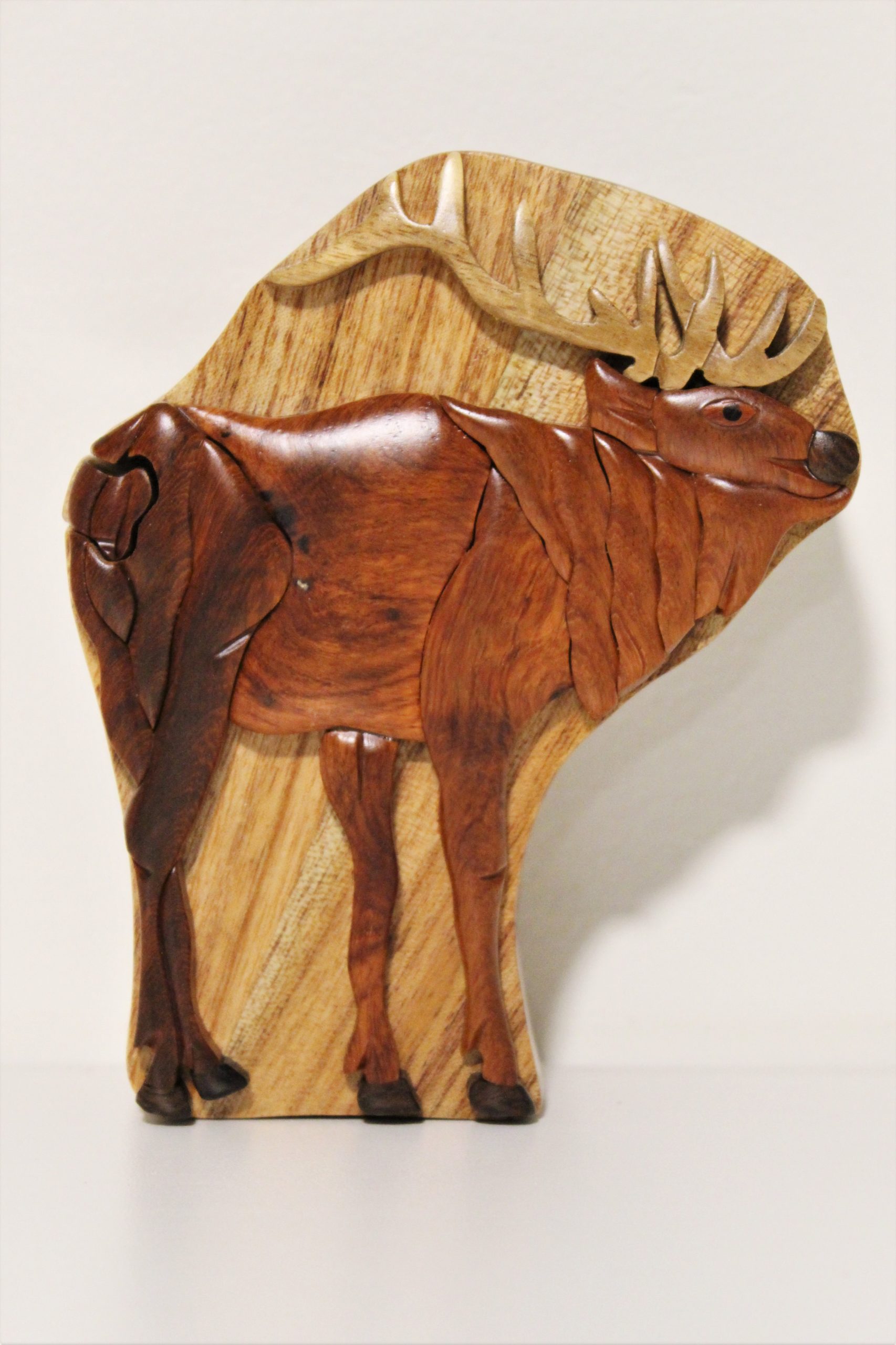 Elk Wood Intarsia Puzzle Box – Pennsylvania Lumber Museum
